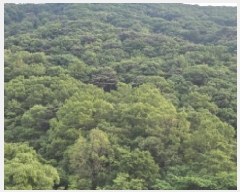  2025Ÿ7914  ĥ   69-1      (Ӿ)