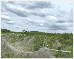  2025Ÿ��7936 ��� ���� ����� ��˸� 372-2      ��õ���