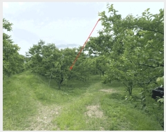  2025Ÿ��7936 ��� ���� ����� ��˸� 372-2      ��õ���