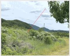  2025Ÿ��7936 ��� ���� ����� ��˸� 372-2      ��õ���