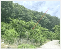  2025Ÿ��7936 ��� ���� ����� ��˸� 372-2      ��õ���