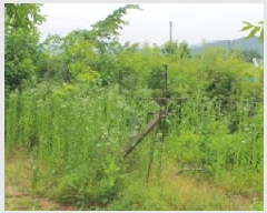  2025Ÿ��7936 ��� ���� ����� ��˸� 372-2      ��õ���