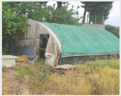  2025Ÿ��7991  �ٸ����ð��