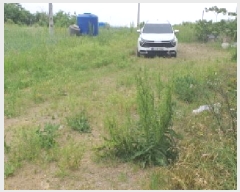  2025Ÿ��7991  �ٸ����ð��