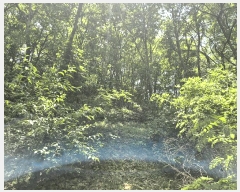 2025Ÿ��8034 ��� ��õ�� �Ͼȸ� ���� 573-6      ����(��)���