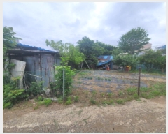  2025Ÿ��8132 �뱸 ���� ������ 154-1       ����(��1)���