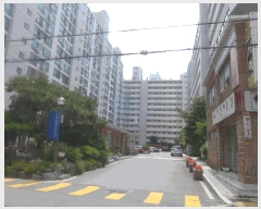  2025Ÿ��8276  ����Ʈ���