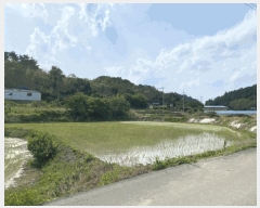  2025Ÿ��8308  ����