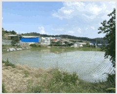  2025Ÿ��8308  ����