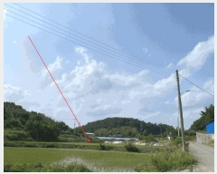  2025Ÿ��8308  ����