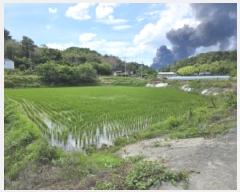  2025Ÿ��8308  ����