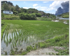  2025Ÿ��8308  ����