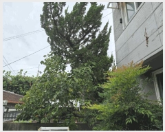  2025Ÿ��8344 �뱸 ������ ���̵� 1007-17       ���ð��