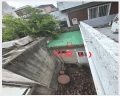  2025Ÿ��8344 �뱸 ������ ���̵� 1007-17       ���ð��