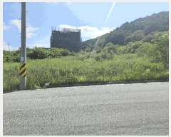  2025Ÿ��8431  �������