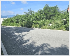  2025Ÿ��8431  �������