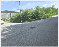  2025Ÿ��8431  �������