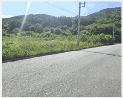  2025Ÿ��8431  �������