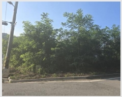  2025Ÿ��8431  �������