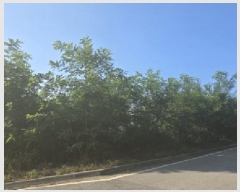  2025Ÿ��8431  �������