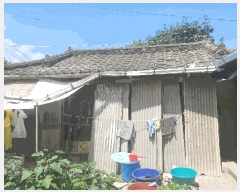  2025Ÿ��8442  �������