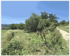  2025Ÿ��8508 ��� ��õ�� �ų�� ������ 777      ����(��1)���