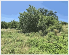  2025Ÿ��8508 ��� ��õ�� �ų�� ������ 777      ����(��1)���