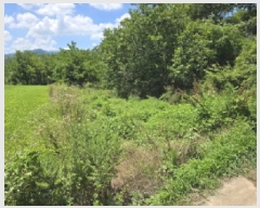  2025Ÿ��8508 ��� ��õ�� �ų�� ������ 777      ����(��1)���