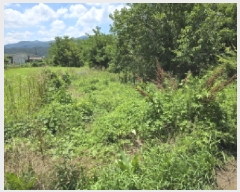  2025Ÿ��8508 ��� ��õ�� �ų�� ������ 777      ����(��1)���