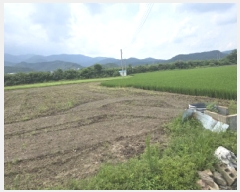  2025Ÿ��8508 ��� ��õ�� �ų�� ������ 777      ����(��1)���