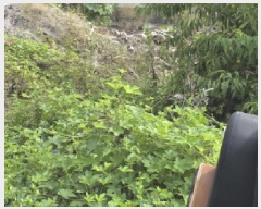  2025Ÿ��8710  �������