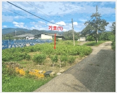  2025Ÿ��8792  ����