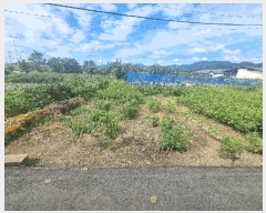  2025Ÿ��8792  ����