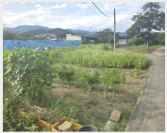  2025Ÿ��8792  ����