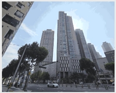  2025Ÿ��9015 �뱸 ������ �λ굿 113 �����������̸������� 106�� 32��3203ȣ    ����Ʈ���