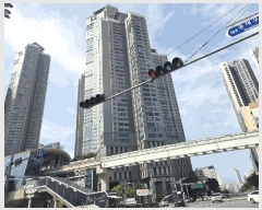  2025Ÿ��9015 �뱸 ������ �λ굿 113 �����������̸������� 106�� 32��3203ȣ    ����Ʈ���
