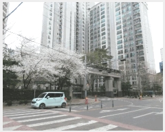  2025Ÿ669 뱸   966-1  ޸ īƼ 203 2203ȣ  Ʈ