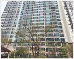  2025Ÿ669 뱸   966-1  ޸ īƼ 203 2203ȣ  Ʈ