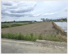  2025Ÿ768   Ͼ  743-1      ()