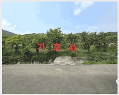  2025Ÿ��816 ��� û���� �̼��� ������ 119      ����(��1)���