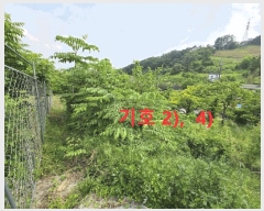  2025Ÿ��816 ��� û���� �̼��� ������ 119      ����(��1)���