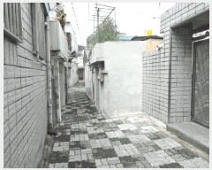  2025Ÿ��882  ���ð��