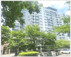  2025Ÿ��911  ����Ʈ���