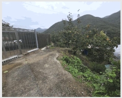  2025Ÿ��956  ����