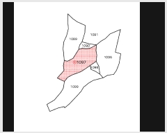  2025Ÿ��956  ����