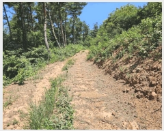  2025Ÿ��967 ��� û���� ������ ���̸� ��7      ����(�Ӿ�)���