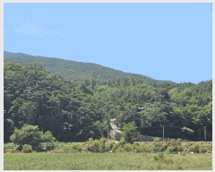  2025Ÿ��967 ��� û���� ������ ���̸� ��7      ����(�Ӿ�)���