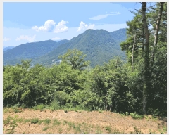  2025Ÿ��967 ��� û���� ������ ���̸� ��7      ����(�Ӿ�)���