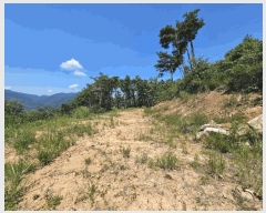  2025Ÿ��967 ��� û���� ������ ���̸� ��7      ����(�Ӿ�)���