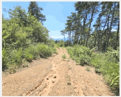  2025Ÿ��967 ��� û���� ������ ���̸� ��7      ����(�Ӿ�)���